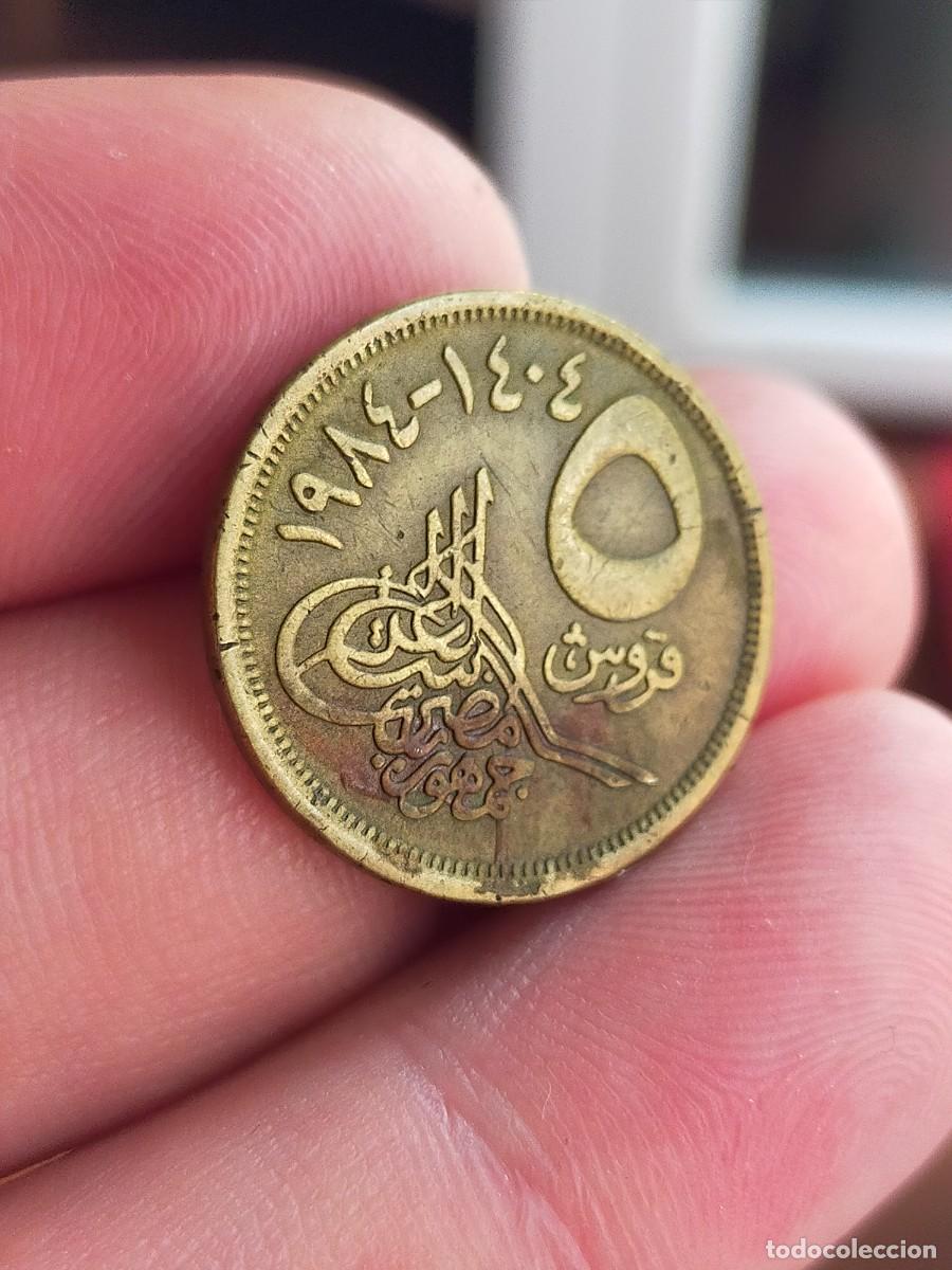 Monedas antiguas de &Aacute;frica: MONEDA DE 5 CINCO PIASTRAS 1984 1404 EGIPTO BUENA CONSERVACION