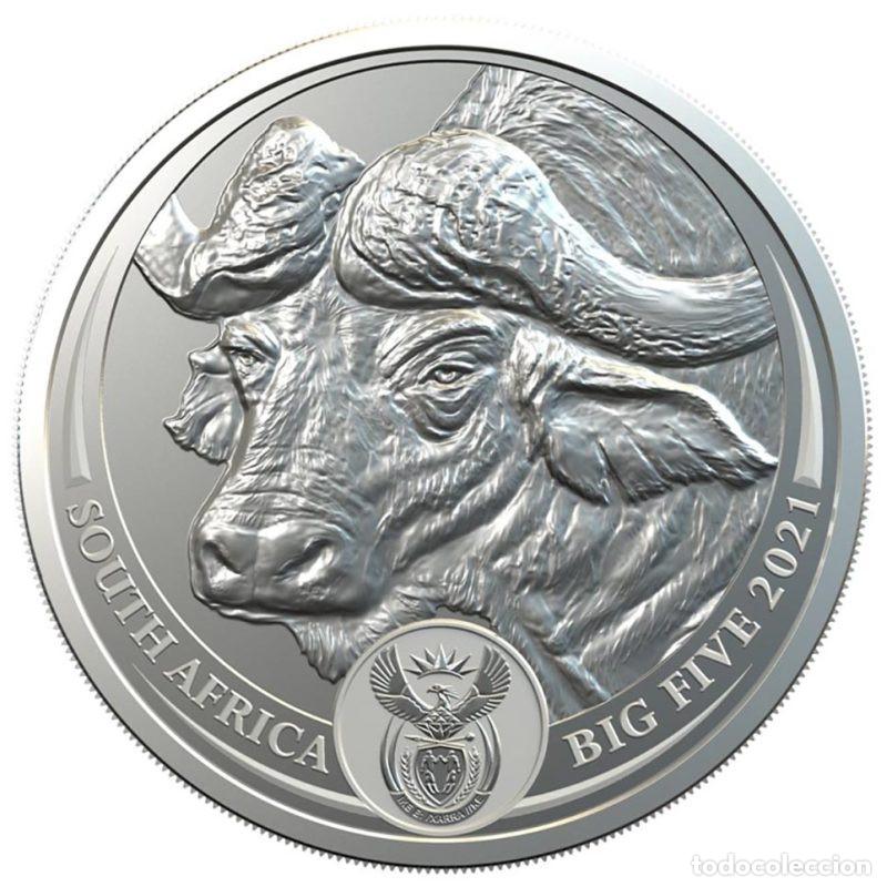Monedas antiguas de &Aacute;frica: SUDAFRICA ONZA DE PLATA PURA 5 RAND 2021 BIG FIVE BUFFALO AFRICANO