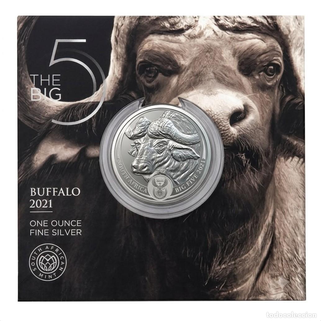 Monedas antiguas de &Aacute;frica: Sud&aacute;frica Cartera 5 Rand B&uacute;falo 2021 Km 745 Onza Plata Pura
