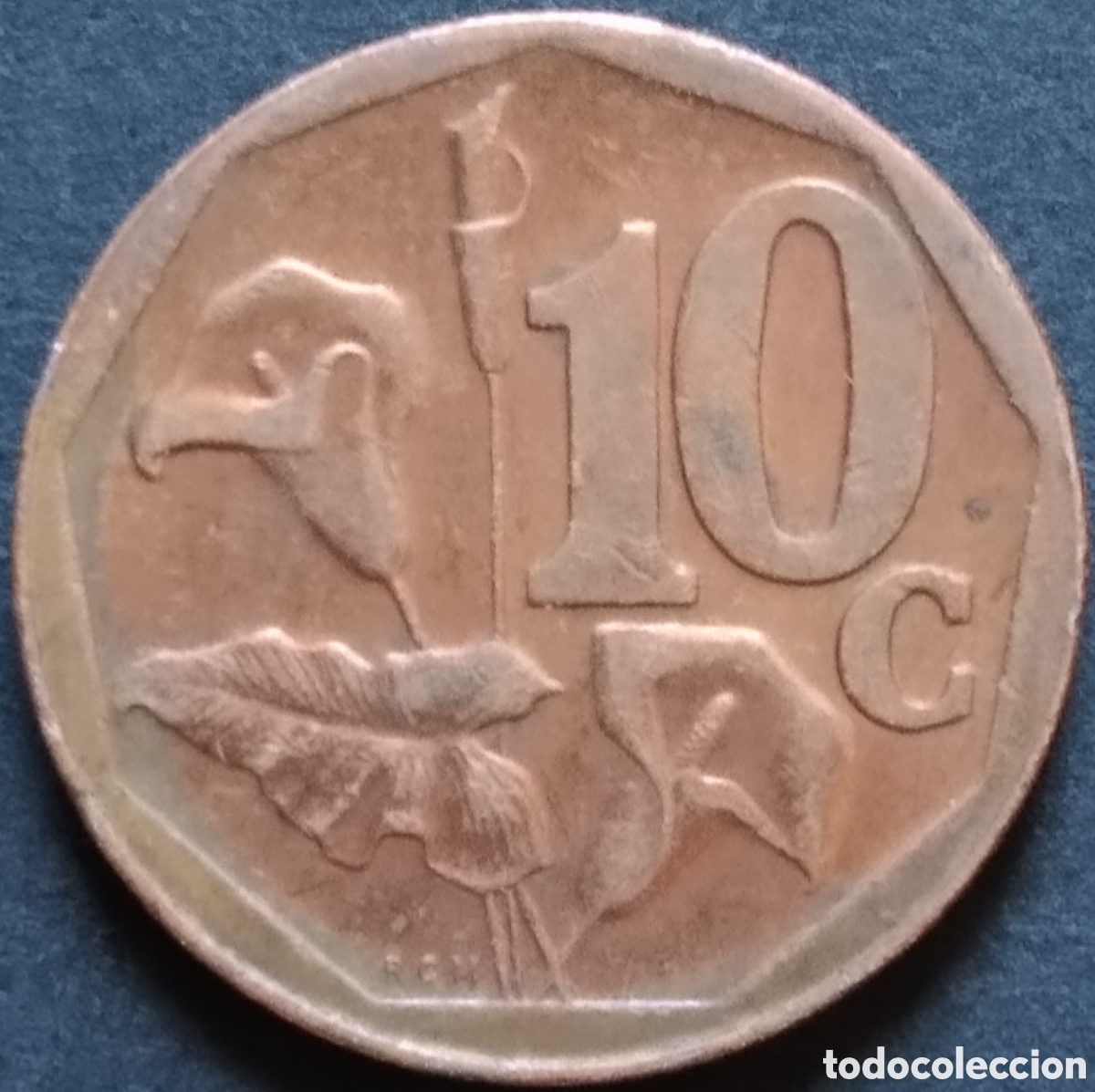 Monedas antiguas de &Aacute;frica: MONEDA - SUD&Aacute;FRICA 10 CENT 2014
