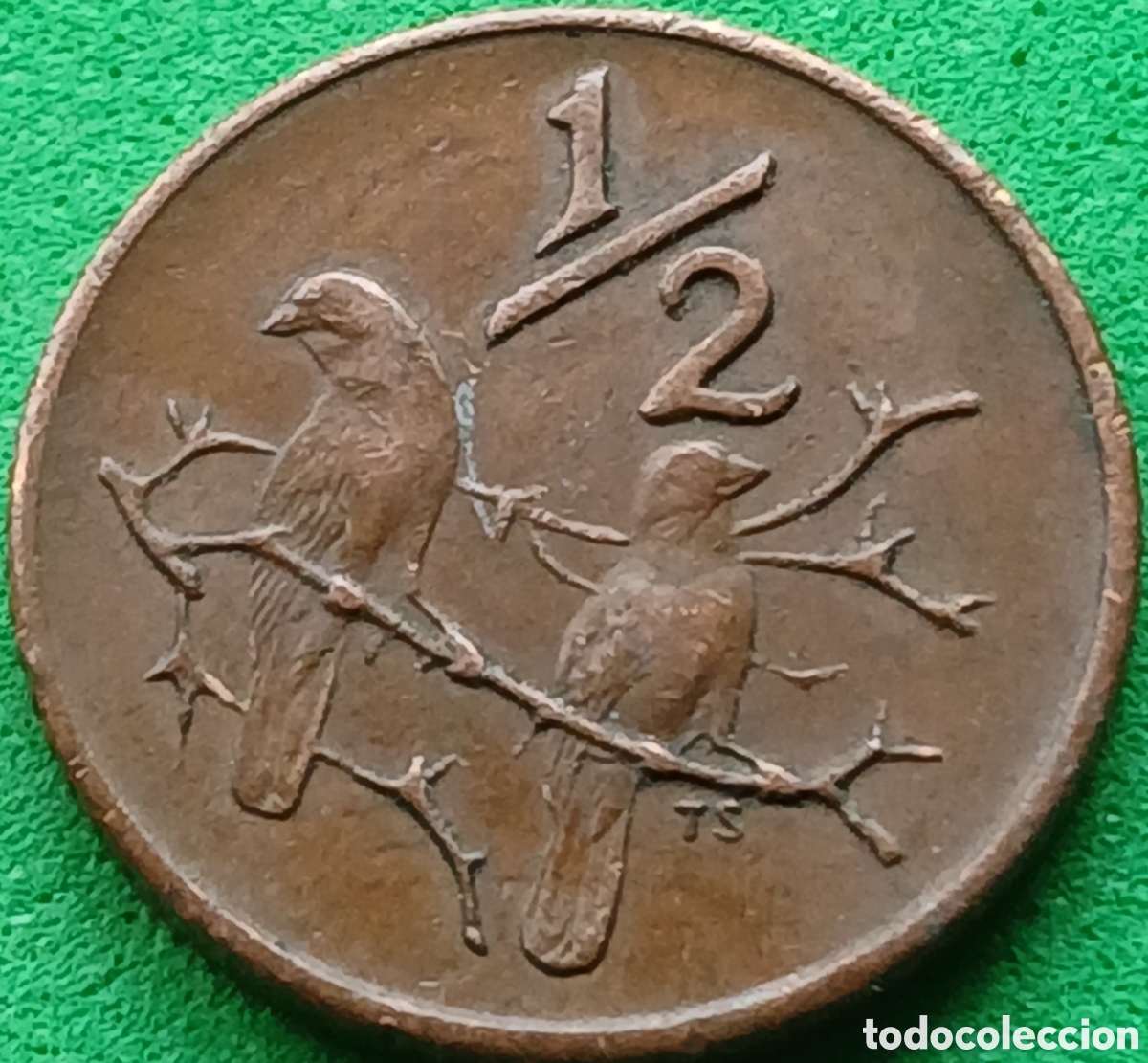 Monedas antiguas de &Aacute;frica: South &Aacute;frica &frac12; cent 1970 km#81
