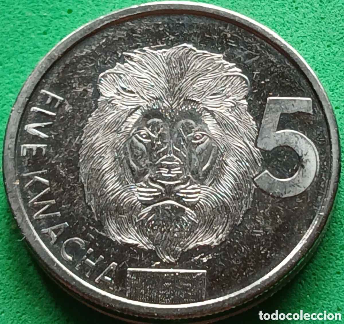 Monedas antiguas de &Aacute;frica: Zambia 5 kwacha 2024 UC#257