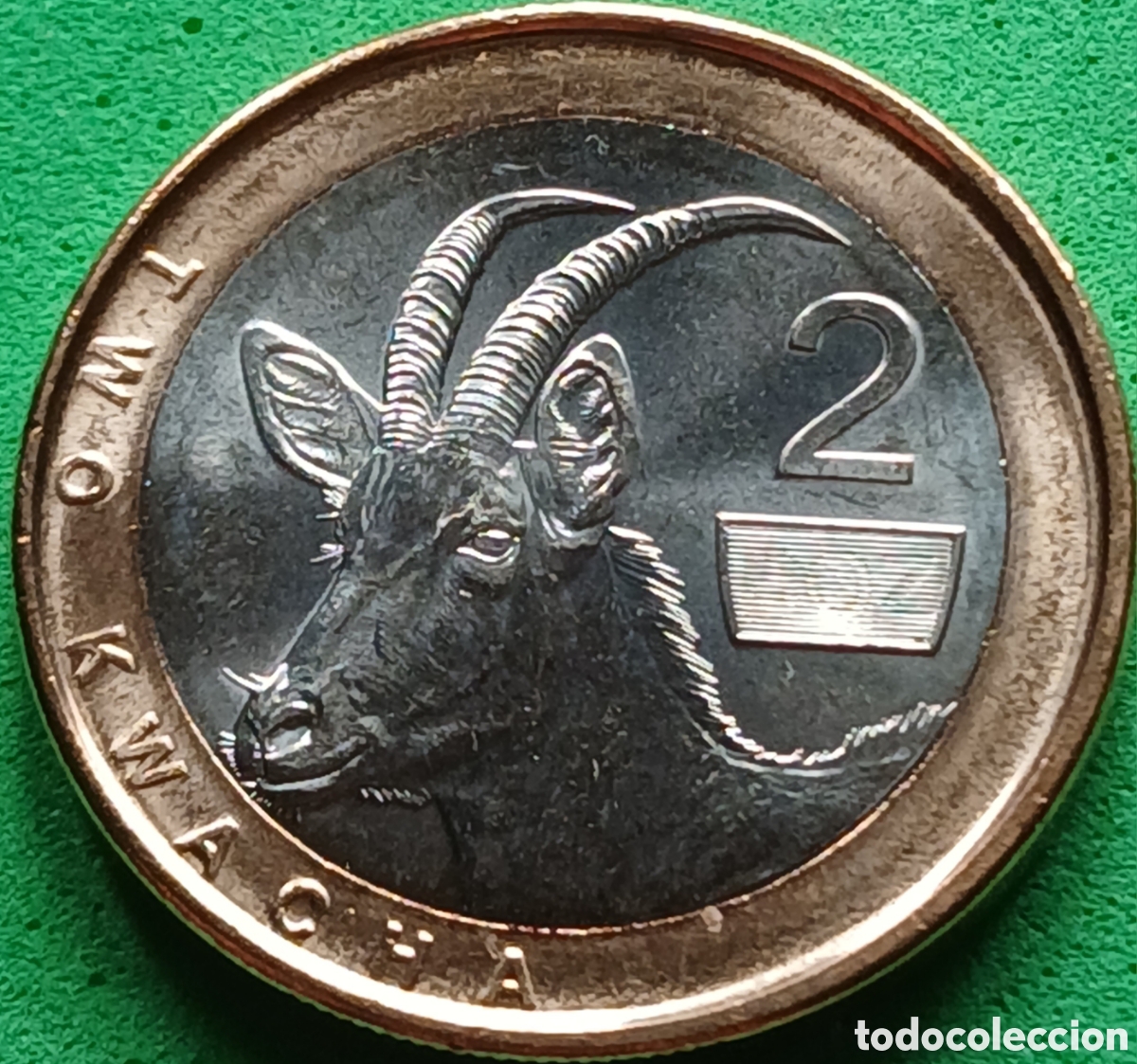 Monedas antiguas de &Aacute;frica: Zambia 2 kwacha 2024 UC#256