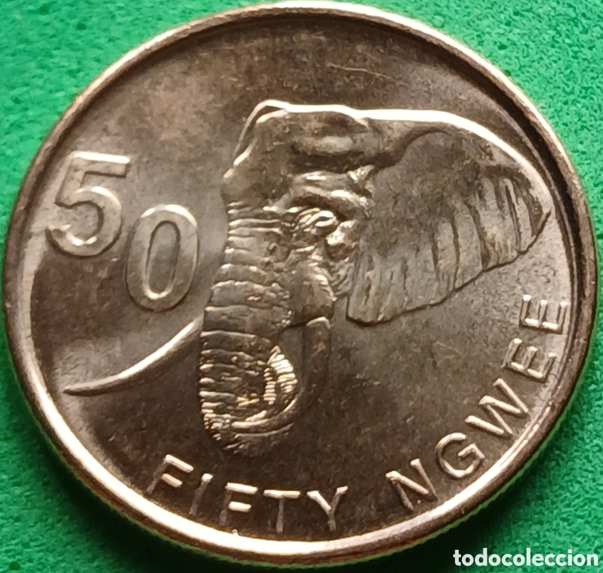 Monedas antiguas de &Aacute;frica: Zambia fifty ngwee 2024 UC#263