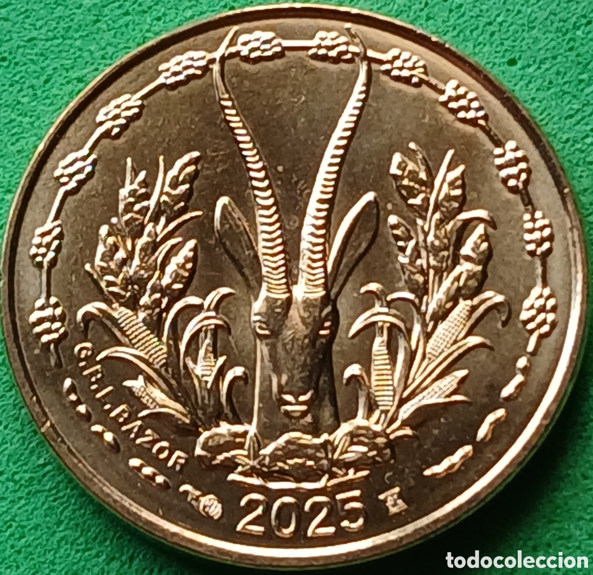 Monedas antiguas de &Aacute;frica: &Aacute;frica Occidental (BCEAO)5 francos 2025 km#2a ( sin definir)