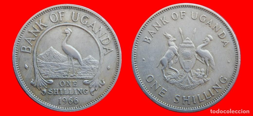 Monedas antiguas de &Aacute;frica: 1 CHELIN SHILLING 1966 UGANDA-153445