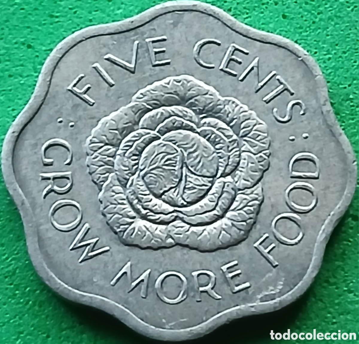 Monedas antiguas de &Aacute;frica: Seychelles five cents 1972 km#18 FAO