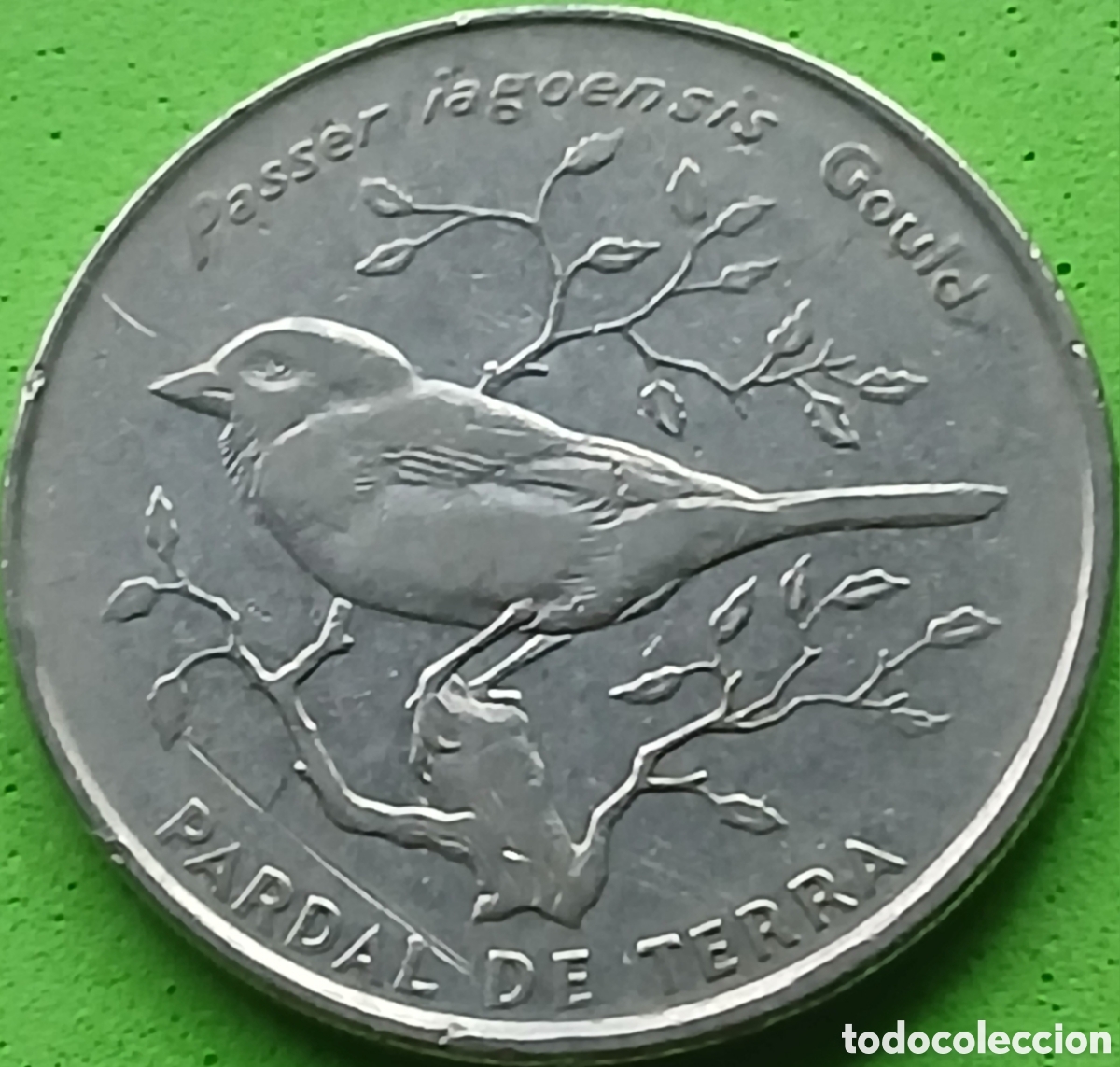 Monedas antiguas de &Aacute;frica: Cabo Verde 50 escudos 1994 km#37 Pardal de Cabo Verde