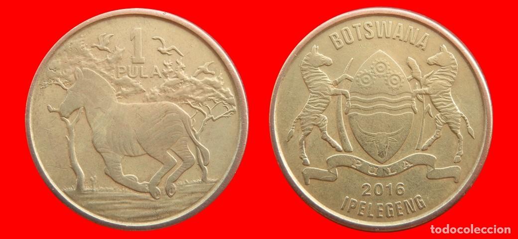 Monedas antiguas de &Aacute;frica: 1 PULA 2016 BOTSWANA-153564