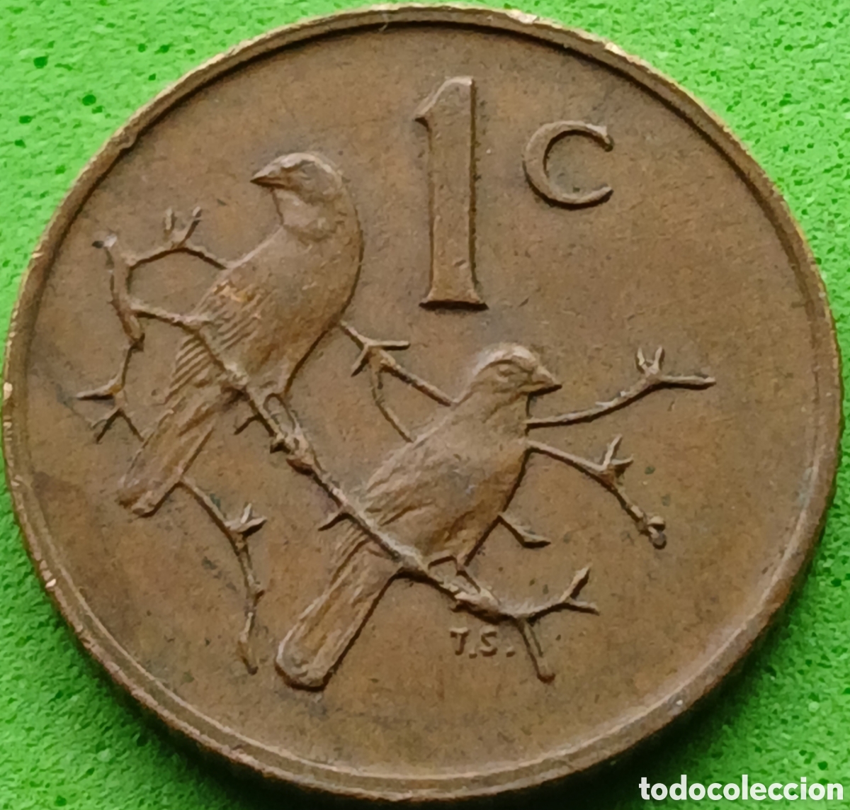 Monedas antiguas de &Aacute;frica: Suid &Aacute;frika 1 cent 1970 km#82