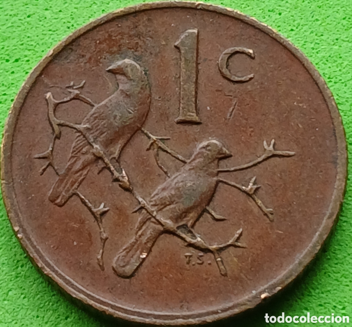 Monedas antiguas de &Aacute;frica: Suid &Aacute;frika 1 cent 1980 km#82