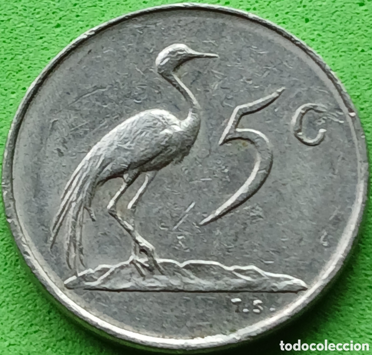 Monedas antiguas de &Aacute;frica: Suid &Aacute;frika 5 cents 1977 km#84