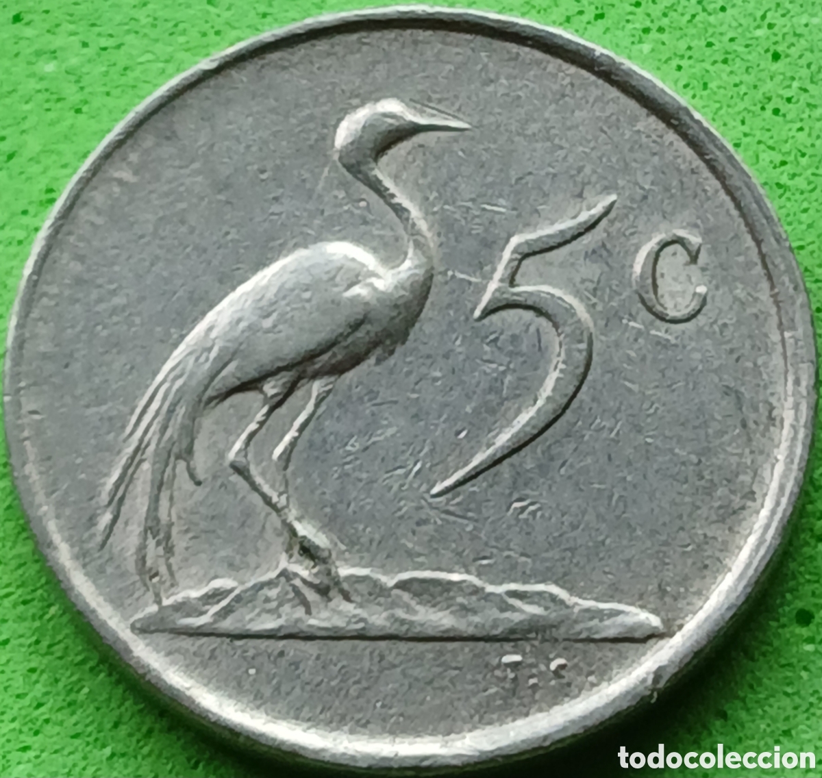 Monedas antiguas de &Aacute;frica: Suid &Aacute;frika 5 cents 1978 km#84