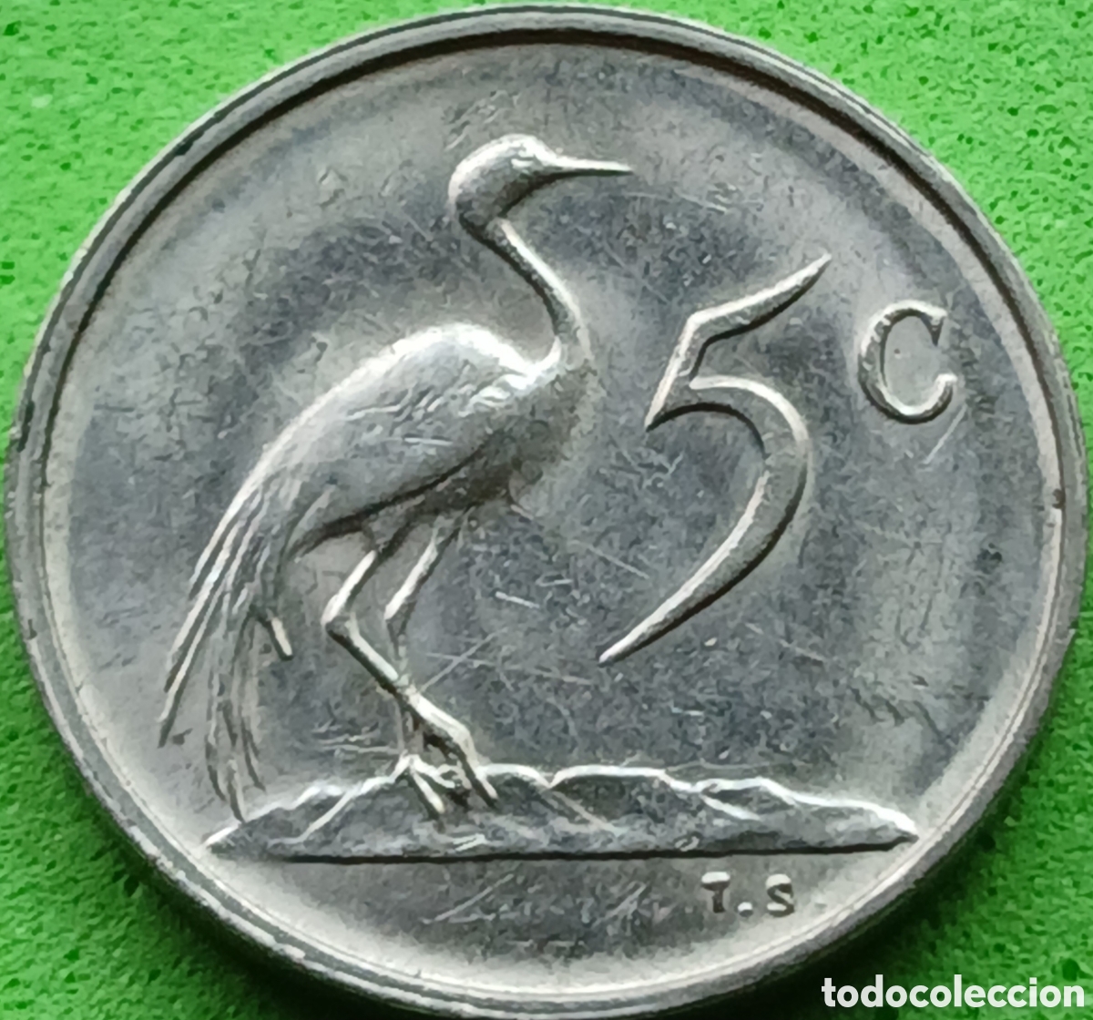 Monedas antiguas de &Aacute;frica: Suid &Aacute;frika 5 cents 1981 km#84