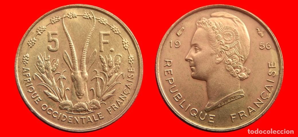Monedas antiguas de &Aacute;frica: 5 FRANCOS 1956 AFRICA OCCIDENTAL FRANCESA-153740