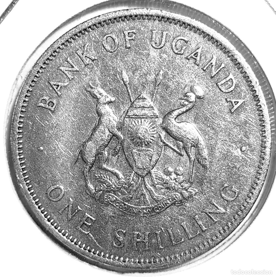 Monedas antiguas de &Aacute;frica: UGANDA (1966-1986) - 1 SHILLING 1966 - A - 6,50 GR. CUPRONIQUEL - DIAMETRO 25,50 mm - KM#5 - MB