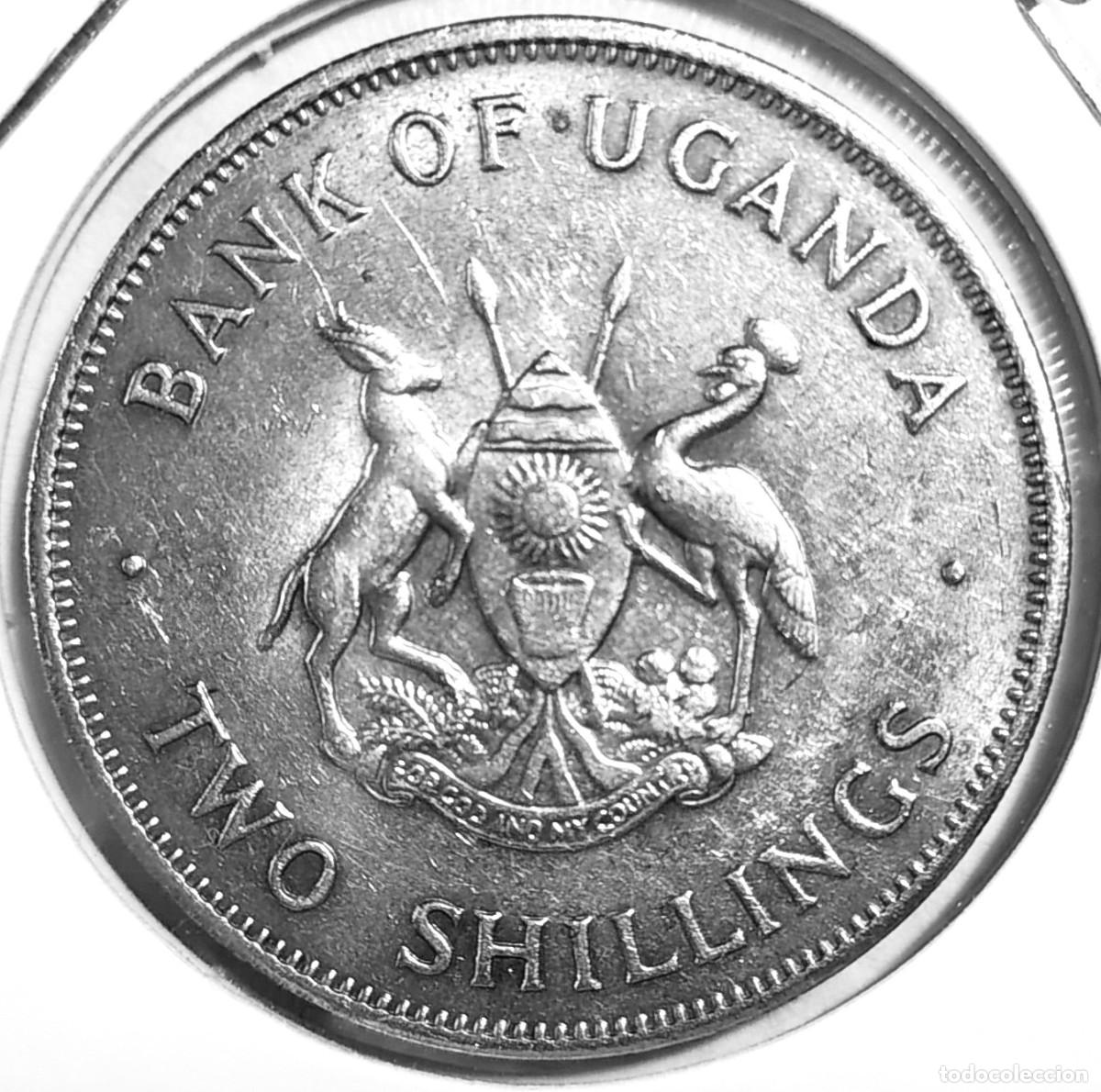 Monedas antiguas de &Aacute;frica: UGANDA (1966-1986) - 2 SHILLINGS 1966 - A - 11,70 GR. CUPRONIQUEL - DIAMETRO 30 mm - KM#6 - MB