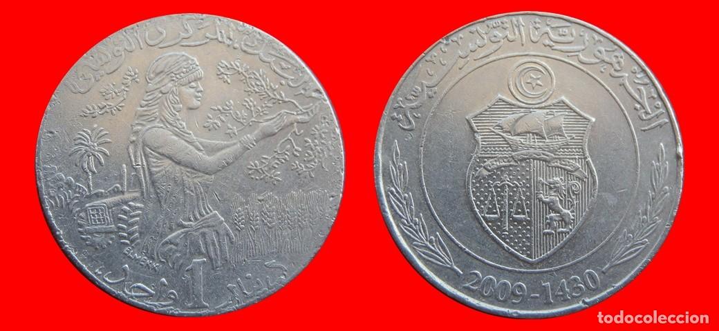 Monedas antiguas de &Aacute;frica: 1 DINAR 2009 TUNEZ-153854
