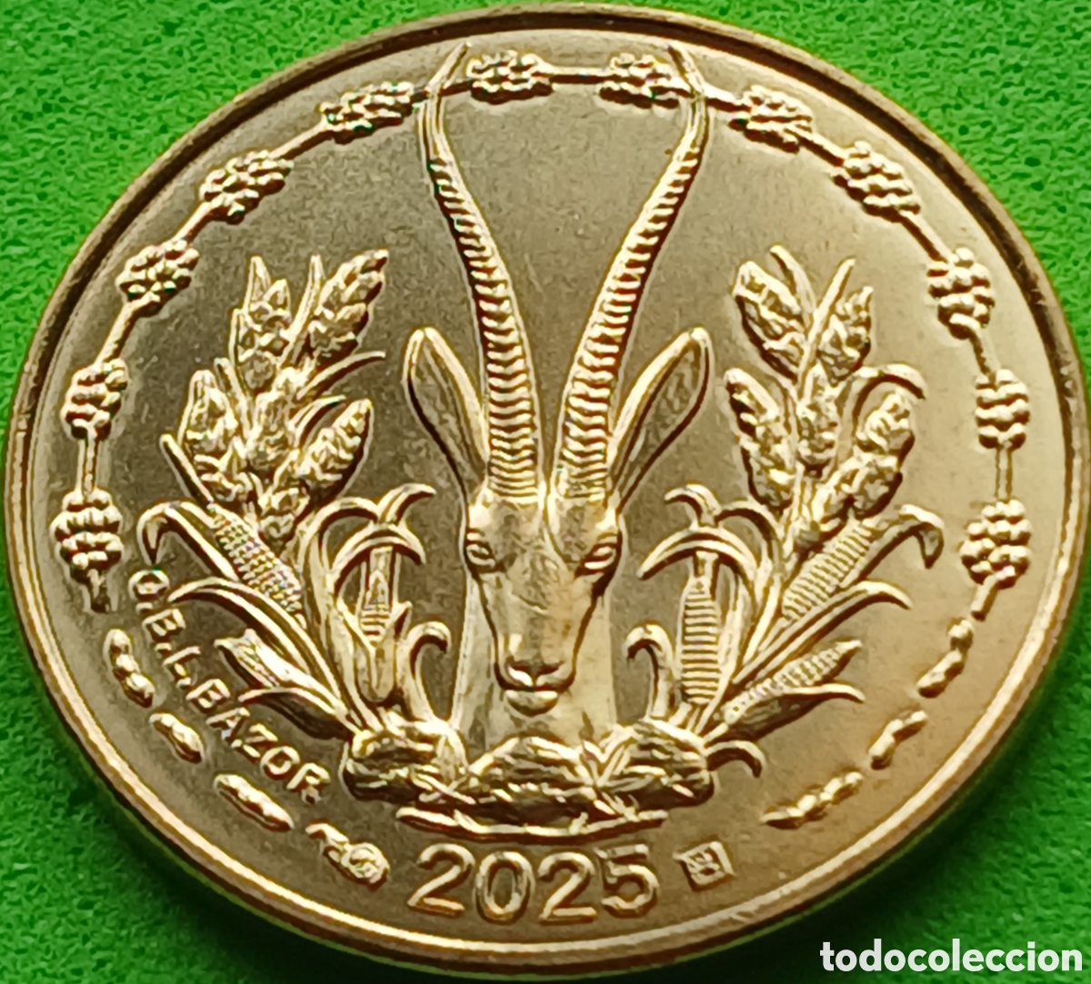 Monedas antiguas de &Aacute;frica: &Aacute;frica Occidental (BCEAO) 5 francos 2025 km#2a EXTREMADAMENTE RARA (RRR)!!!