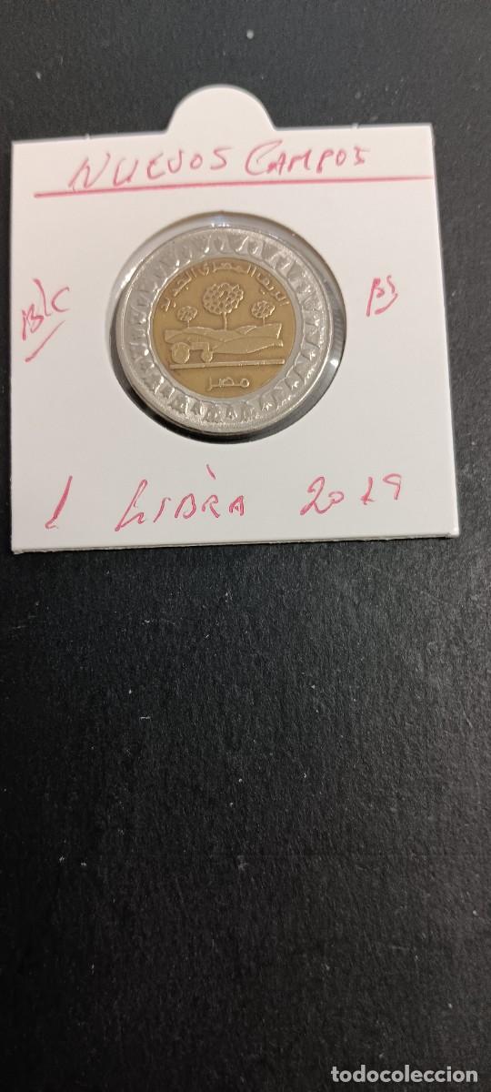 Monedas antiguas de &Aacute;frica: EGIPTO 1 LIBRA 2019 BC (BIMETALICA) NUEVOS CAMPOS