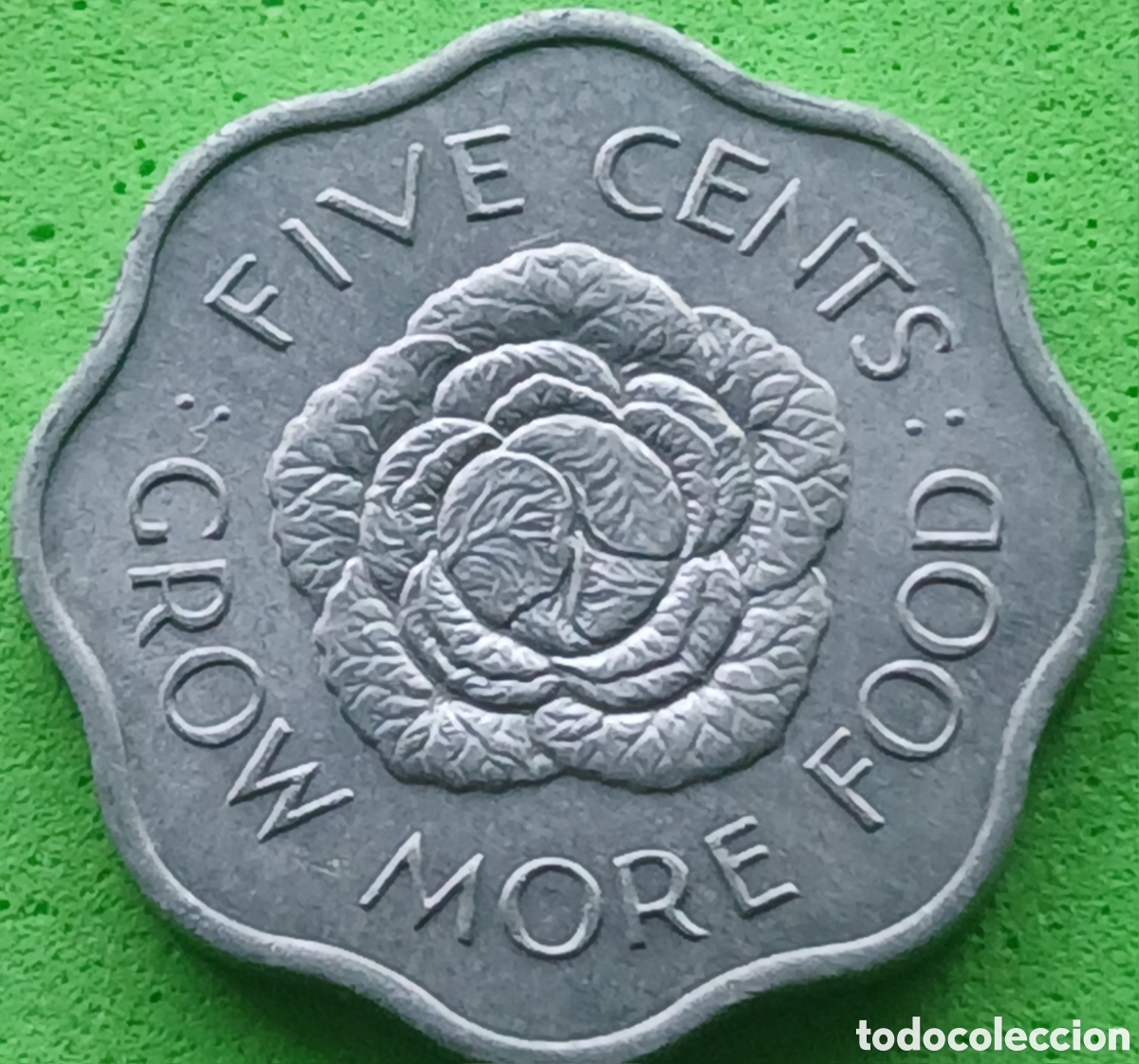 Monedas antiguas de &Aacute;frica: Seychelles five cents 1972 km#18 FAO