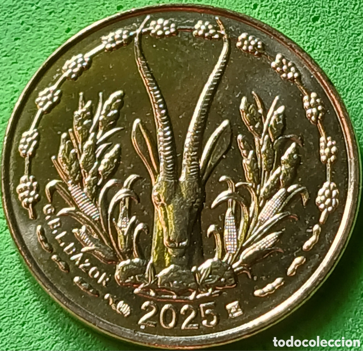 Monedas antiguas de &Aacute;frica: &Aacute;frica Occidental (BCEAO) 5 francos 2025 km#2a EXTREMADAMENTE RARA (RRR)!!