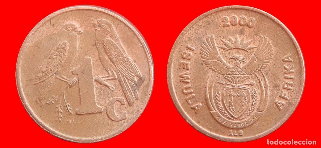 Monedas antiguas de &Aacute;frica: 1 CENTAVO 2000 SUDAFRICA-154191