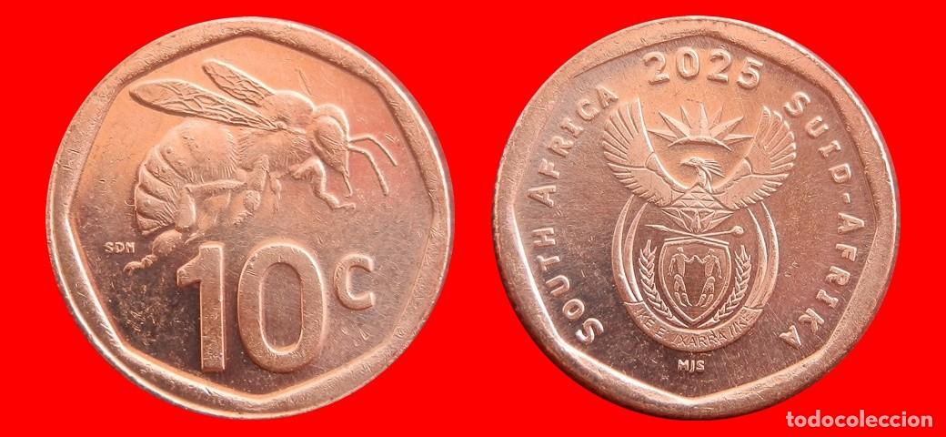 Monedas antiguas de &Aacute;frica: 1 CENTAVO 2025 SUDAFRICA-154193