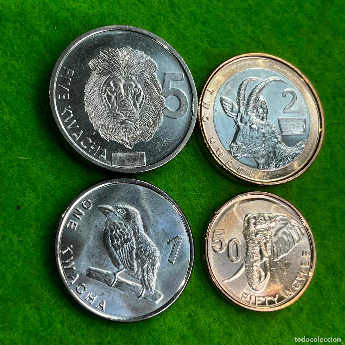 Monedas antiguas de &Aacute;frica: Zambia lote 4 monedas, 50 ngwee, 1, 2 y 5 kwacha, 2025-26, 3 mo , 17441