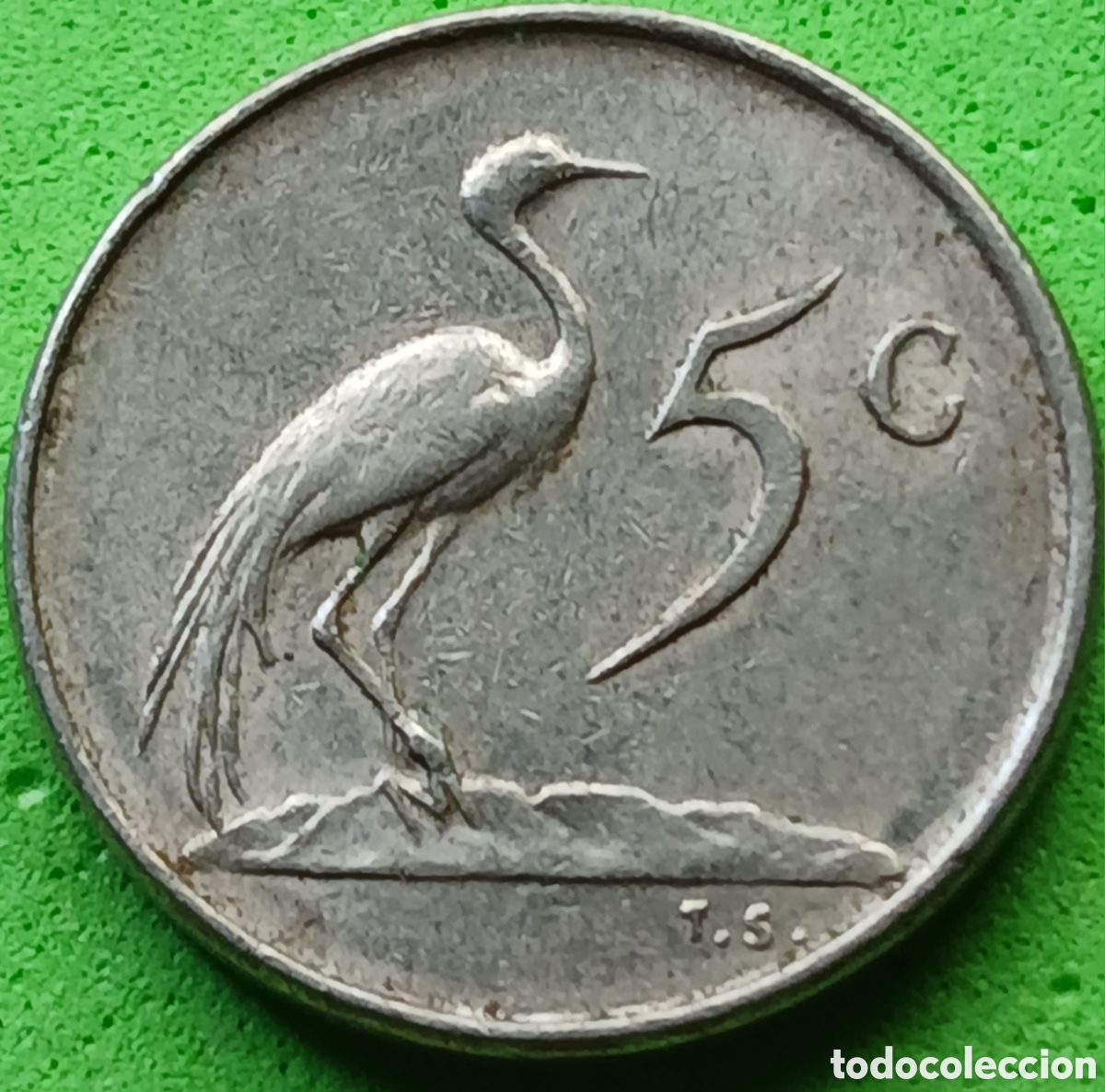Monedas antiguas de &Aacute;frica: Suid &Aacute;frika 5 cents 1973 km#84