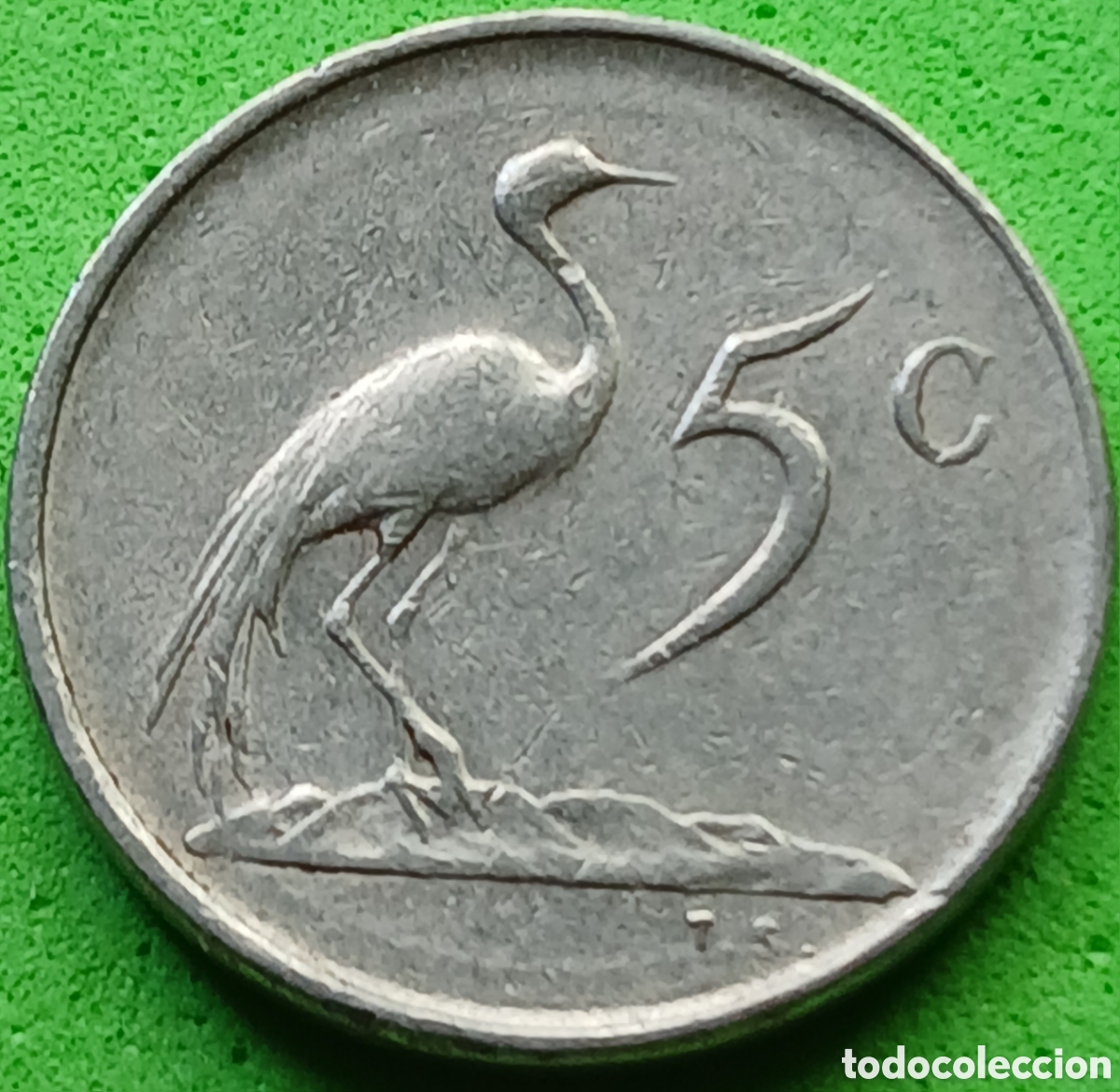 Monedas antiguas de &Aacute;frica: Suid &Aacute;frika 5 cents 1977 km#84