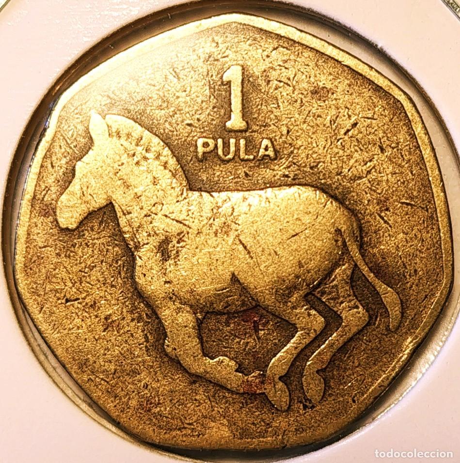 Monedas antiguas de &Aacute;frica: BOTSWANA (1976-2022) - 1 PULA 1991 - REPUBLICA - A - 8,70 GR. NIQUEL-LATON - DIAMETRO 23,50 mm - MB