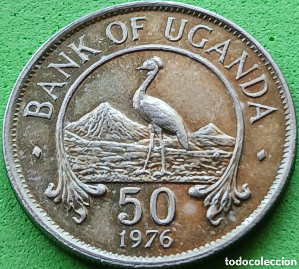 Monedas antiguas de &Aacute;frica: Uganda fifty cents 1976 km#4a