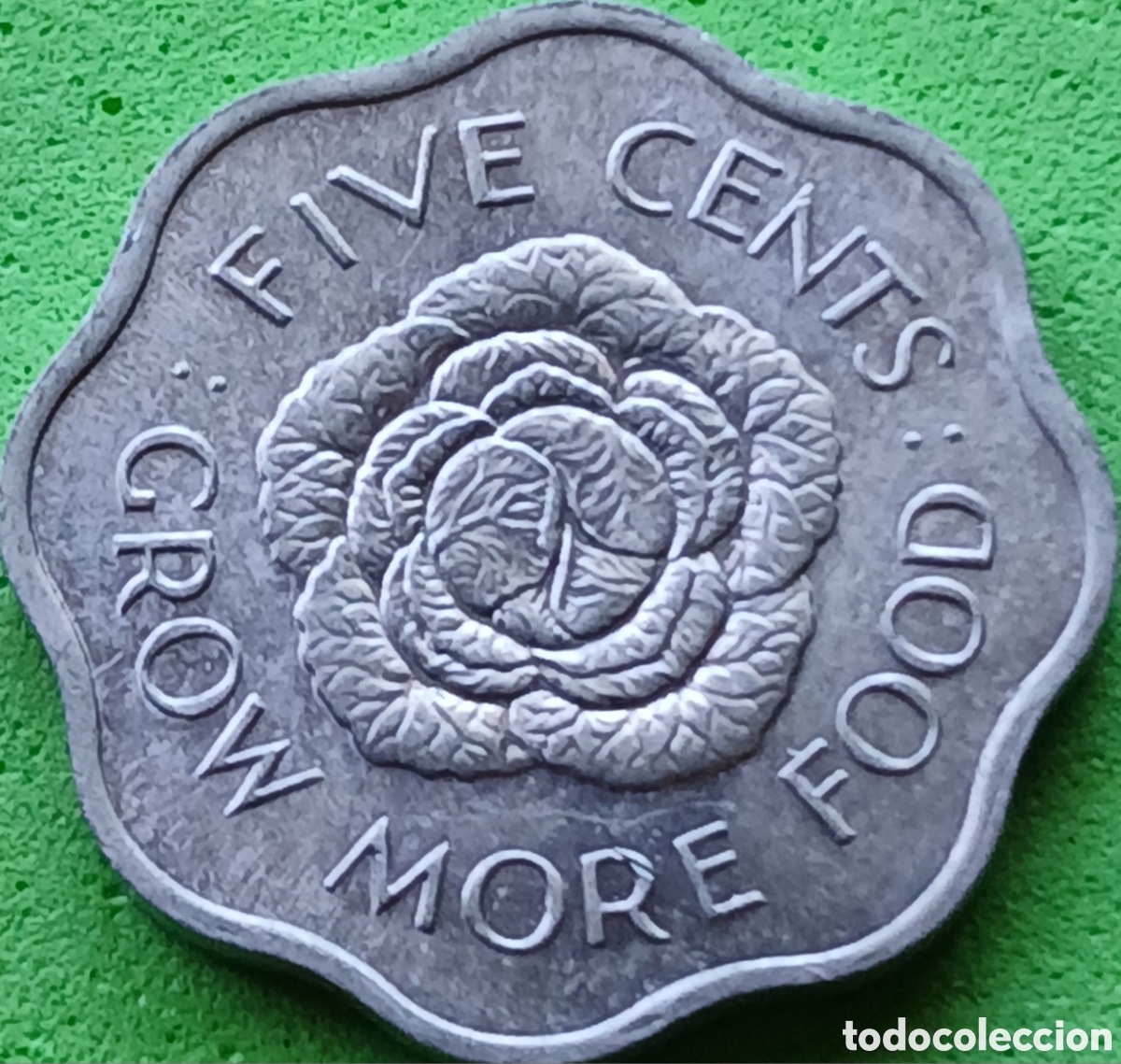 Monedas antiguas de &Aacute;frica: Seychelles five cents 1972 km#18 FAO