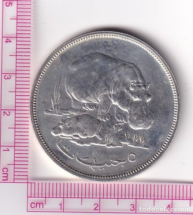 Monedas antiguas de &Aacute;frica: CR2094 MONEDA SUDAN 5 LIBRAS 1976 PLATA 35,5 GR
