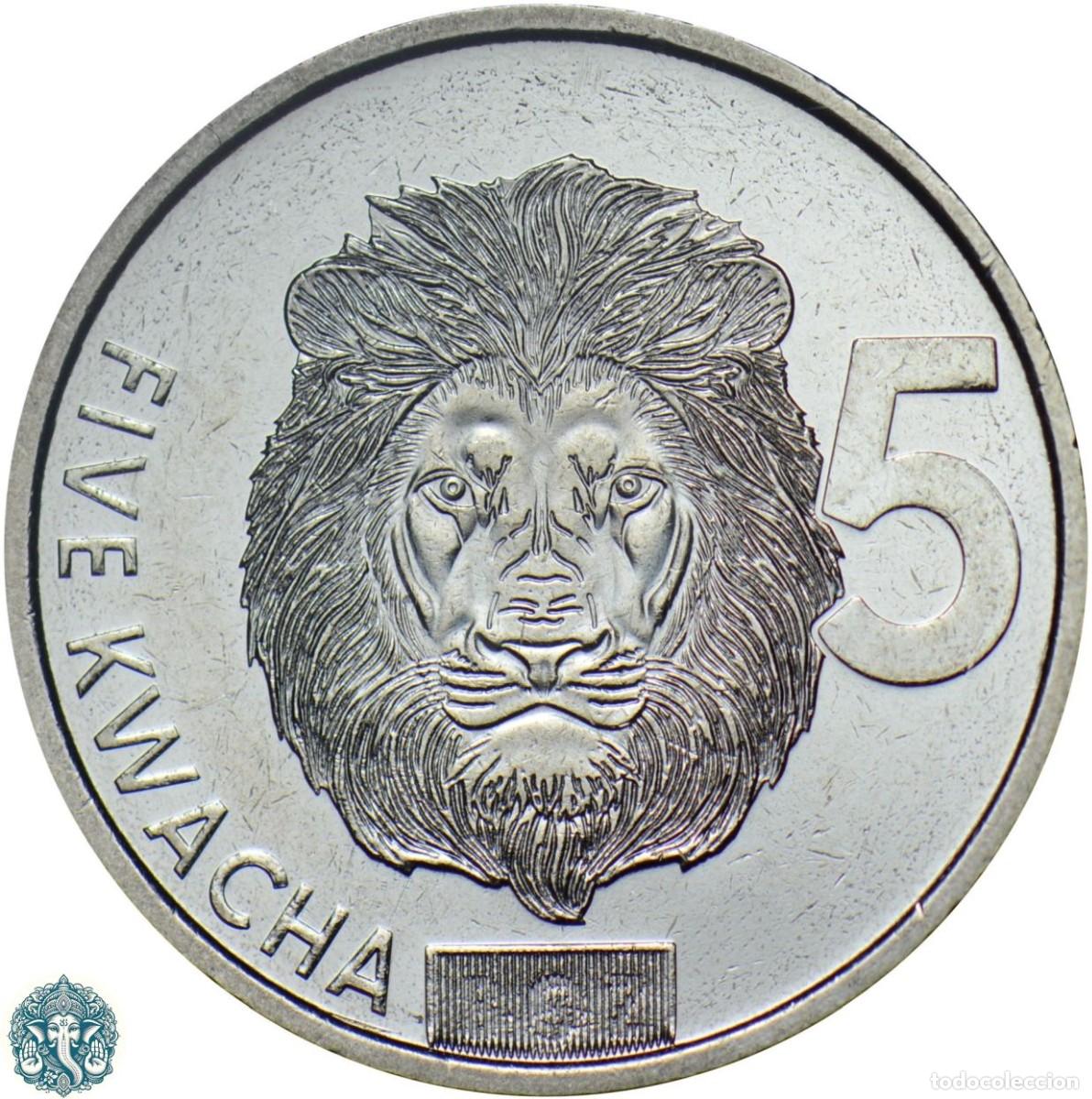 Monedas antiguas de &Aacute;frica: ZAMBIA 5 Kwacha 2025 Le&oacute;n N#463975