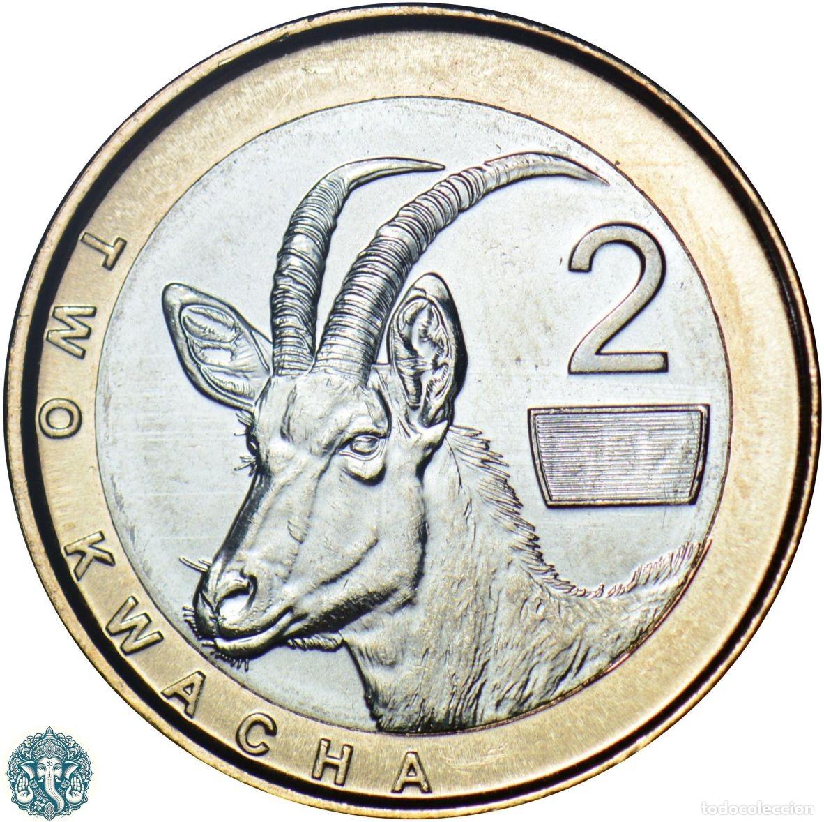 Monedas antiguas de &Aacute;frica: ZAMBIA 2 Kwacha 2025 Ant&iacute;lope N#463973 bimet&aacute;lica