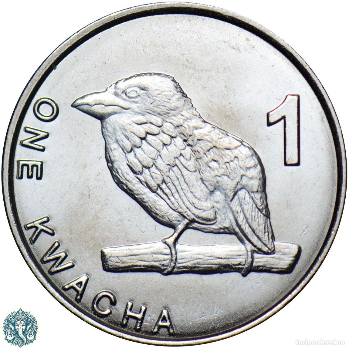 Monedas antiguas de &Aacute;frica: ZAMBIA 1 Kwacha 2025 P&aacute;jaro barbudo N#470474