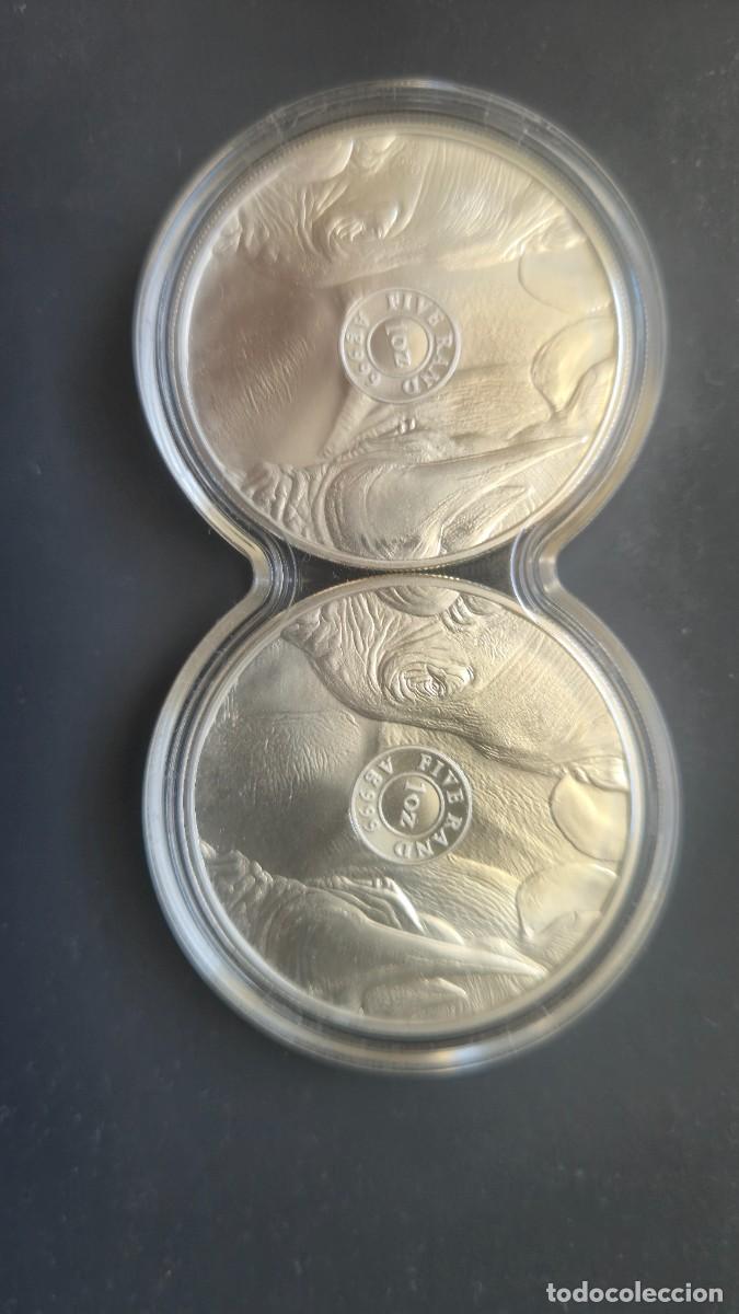 Monedas antiguas de &Aacute;frica: Silberm&uuml;nzen Afrika Five Rand - Foto 2