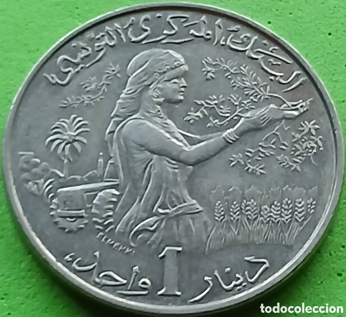 Monedas antiguas de &Aacute;frica: T&uacute;nez 1 dinar 1983 km#304