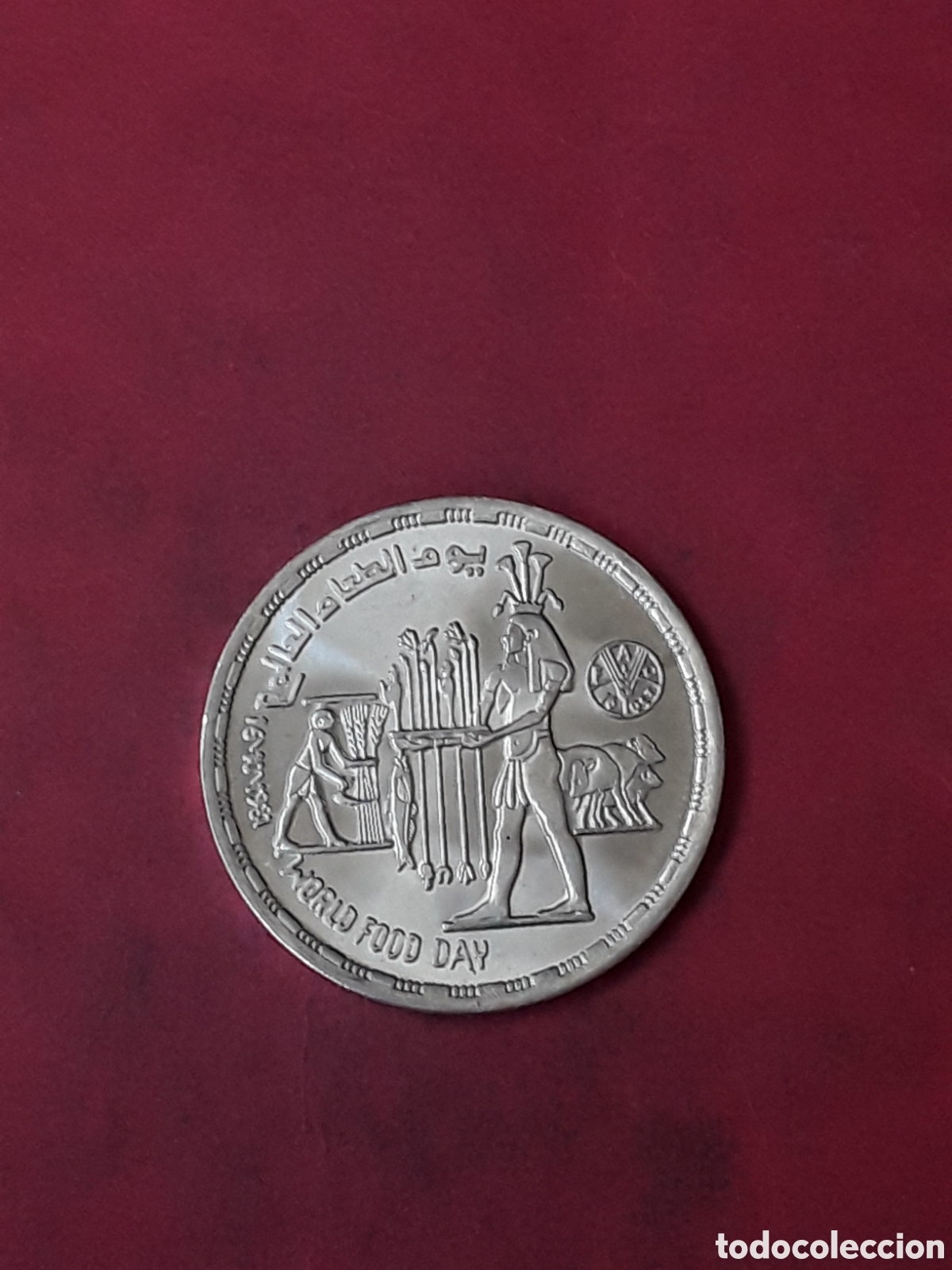 Monedas antiguas de &Aacute;frica: LIBRA EGIPTO 1981 FAO PLATA. NUEVA