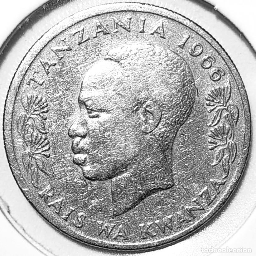 Monedas antiguas de &Aacute;frica: TANZANIA (1966-) - 50 SENTI HAMSINI 1966 - CONEJO - A - 4 GR. CUPRONIQUEL - DIAMETRO 21 mm - KM#3
