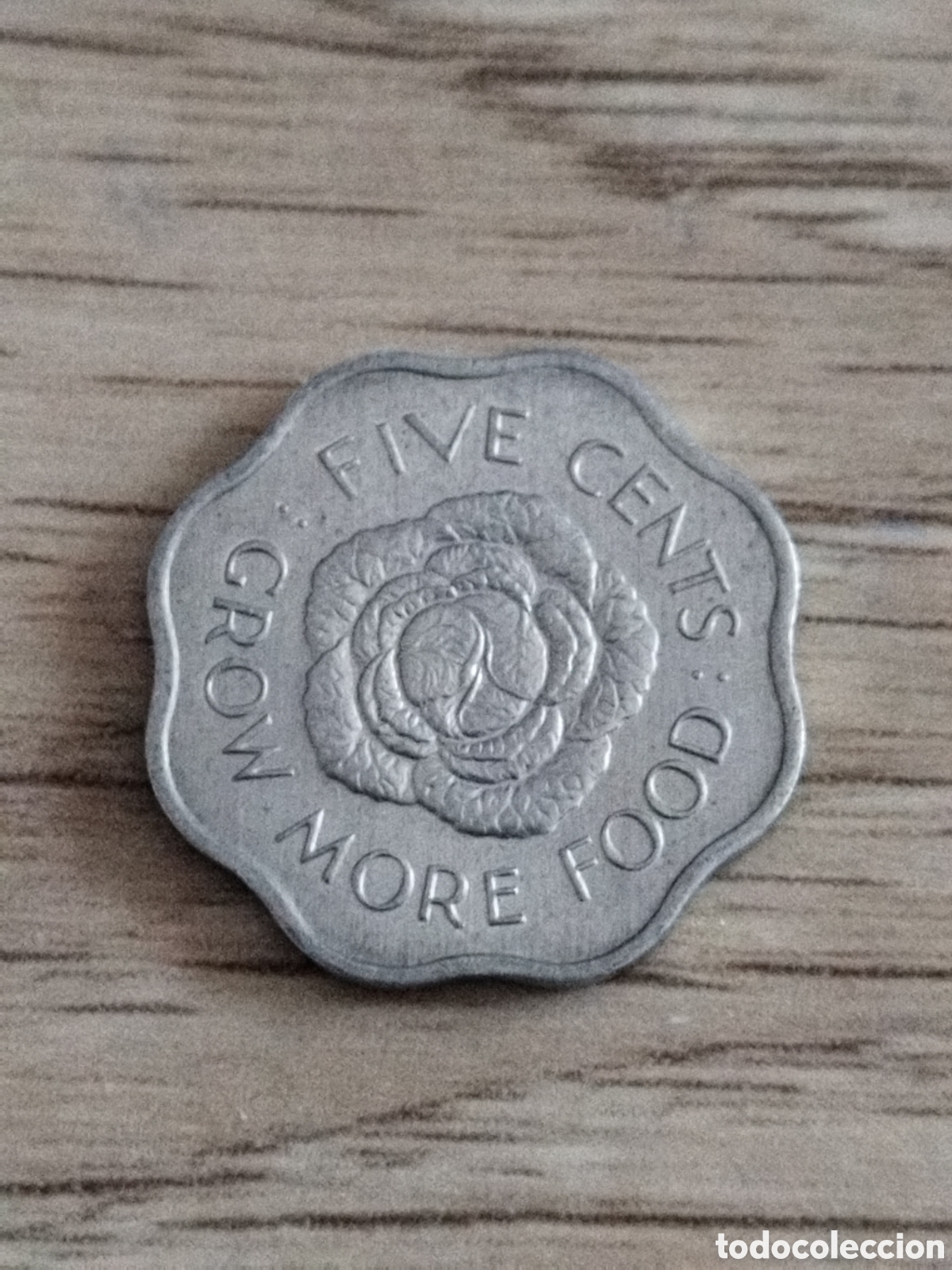 Alte M&uuml;nzen aus Afrika: Seychelles moneda de 5 centavos de 1972 km#18 (FAO)