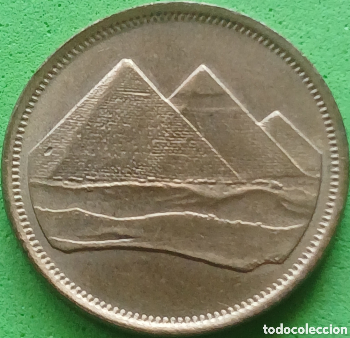 Monedas antiguas de &Aacute;frica: Egipto 5 piastras 1984 km#622 Denominaci&oacute;n grande no sombreada