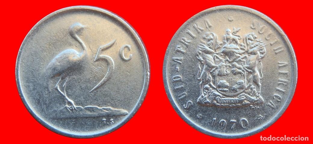 Monedas antiguas de &Aacute;frica: 5 CENTAVOS 1970 SUDAFRICA-155327