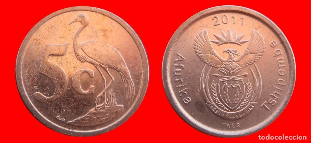 Monedas antiguas de &Aacute;frica: 5 CENTAVOS 2011 SUDAFRICA-155331