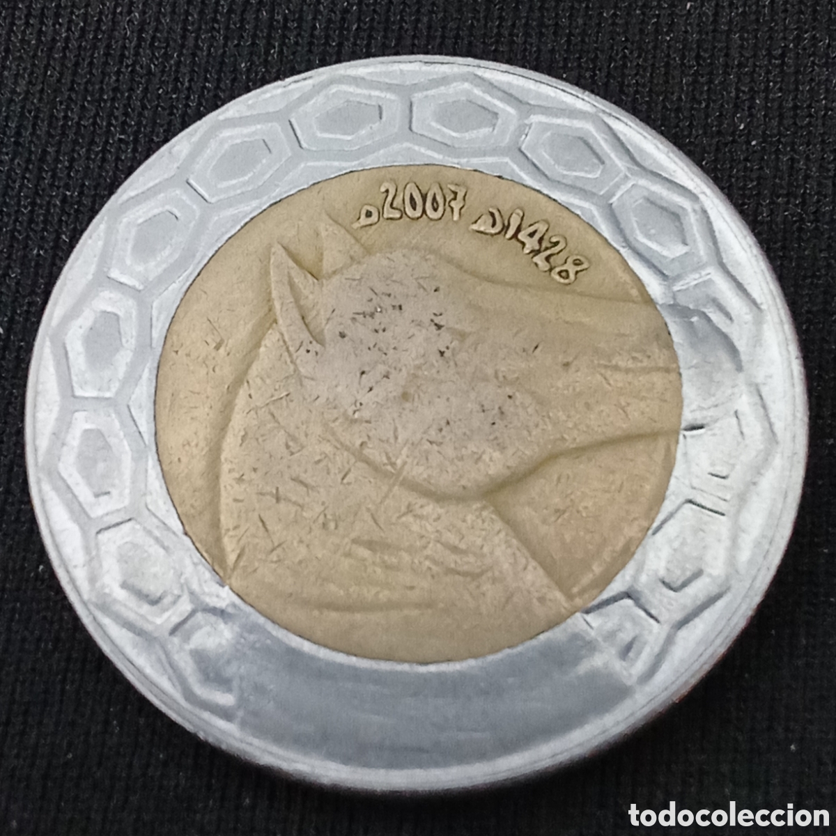 Monedas antiguas de &Aacute;frica: 100 dinares de Argelia acu&ntilde;ada en el a&ntilde;o 2007