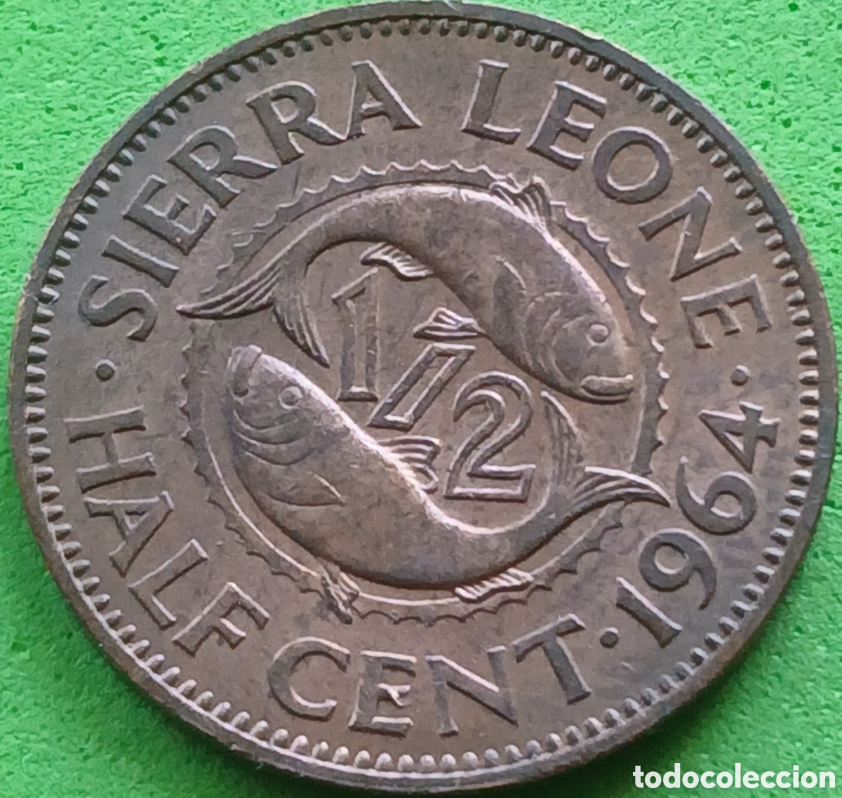 Monedas antiguas de &Aacute;frica: Sierra Leone half cent 1964 km#16