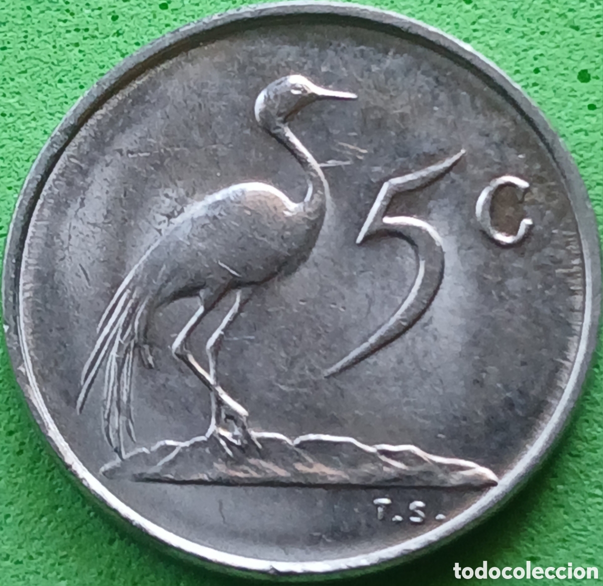 Monedas antiguas de &Aacute;frica: Suid &Aacute;frika 5 cents 1981 km#84
