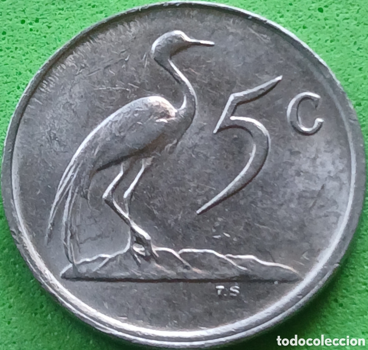 Monedas antiguas de &Aacute;frica: Suid &Aacute;frika 5 cents 1984 km#84